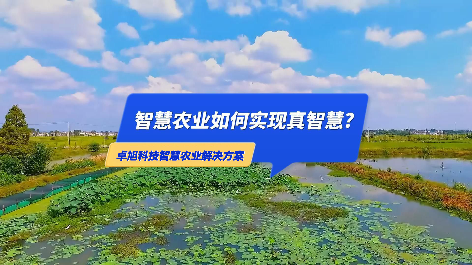 智慧农业行业未来发展趋势及解决方案